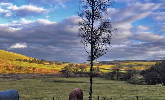 If your looking for a fantastic view then look no further than Hafren Forest Hideaway.